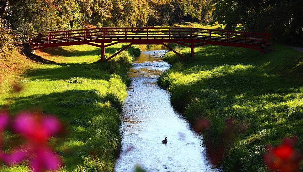 Image Slider 3